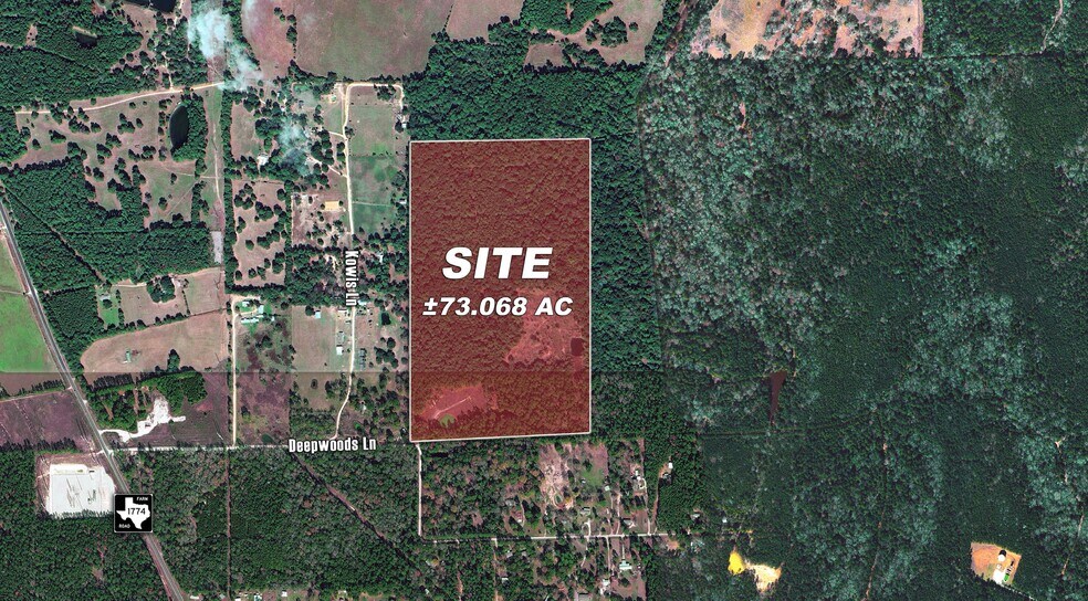 Primary Photo Of 10771 County Road 351, Plantersville Land For Sale