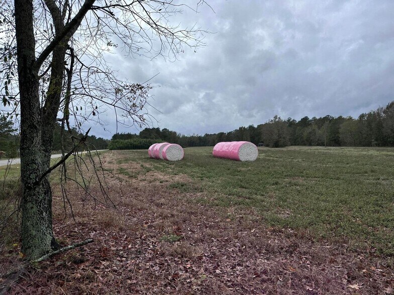 More Photos Of 0 Good Farm Rd, Holly Hill Land For Sale