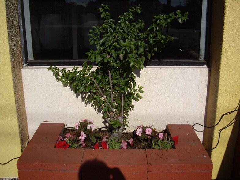 More Photos Of 13640 Goldenwest St, Westminster Restaurant For Lease