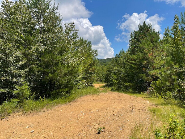 More Photos Of 23034 Highway 25, Columbiana Land For Sale