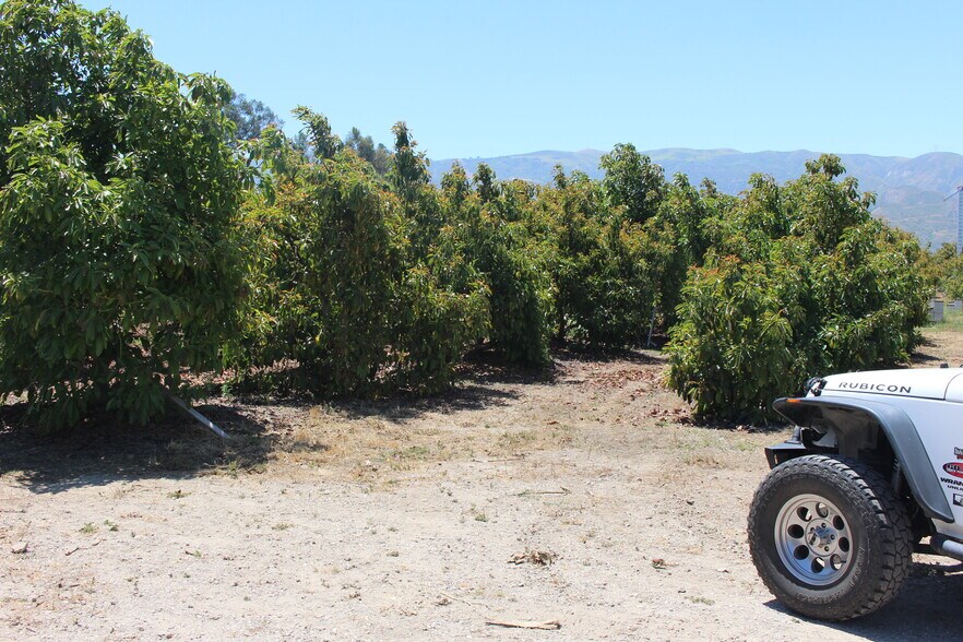 More Photos Of 0 Camulos St, Piru Land For Sale