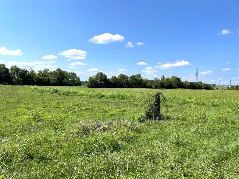 More Photos Of Flatwoods Road, Mosheim Land For Sale