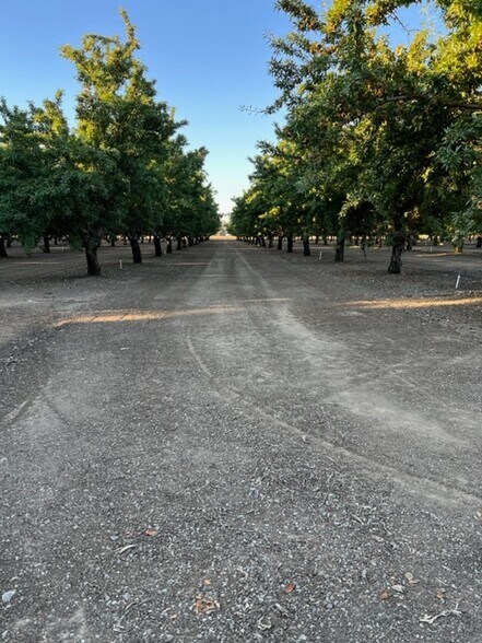 More Photos Of 585 Rose, Patterson Land For Sale