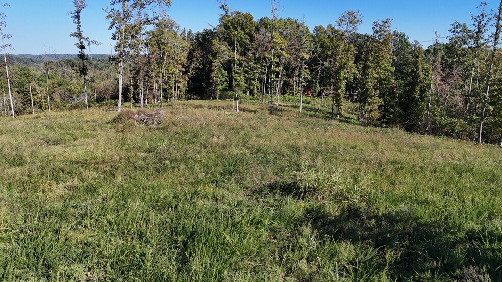 More Photos Of 1037 Fairview Blvd, Fairview Land For Sale