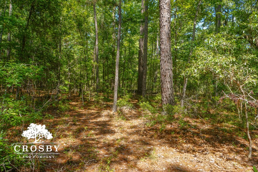 More Photos Of 3009 Lowcountry Drive, Ridgeland Land For Sale