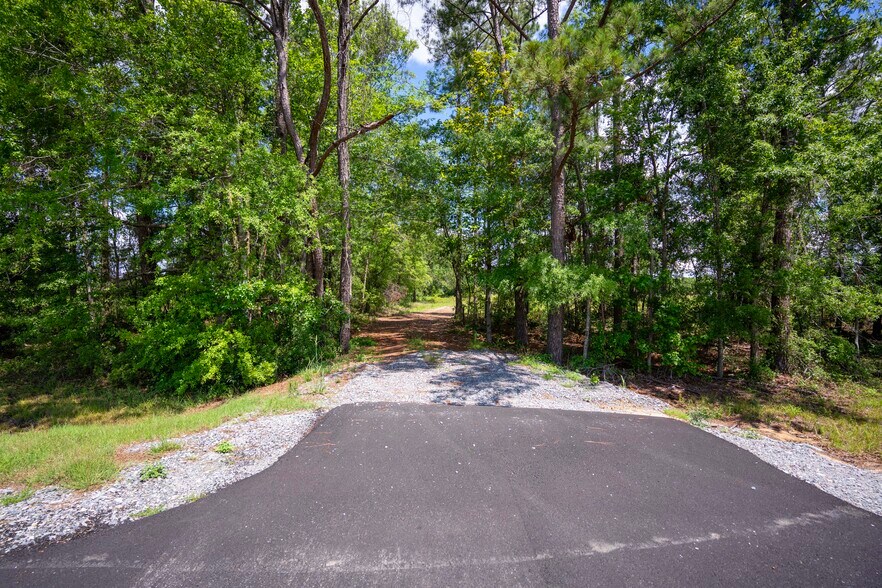 More Photos Of 17614 Lanes Bridge Rd, Odum Land For Sale