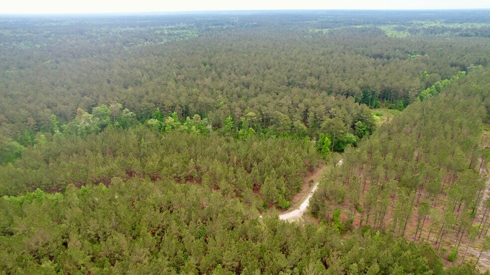 More Photos Of , Reevesville Land For Sale