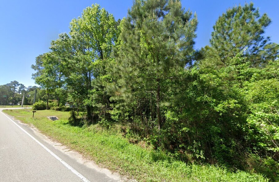 More Photos Of 0 Baxley Rd, Middleburg Land For Sale