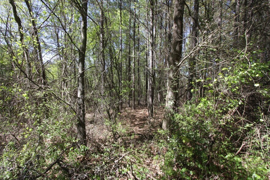 More Photos Of 331 Rosedale Dr, Hiram Land For Sale