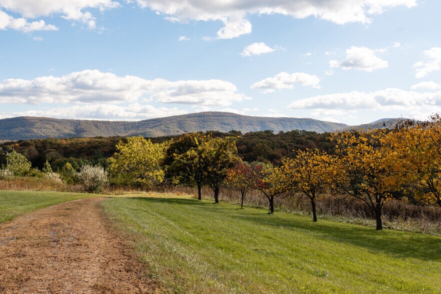 More Photos Of 461 Thunderbird Rd, Bentonville Land For Sale
