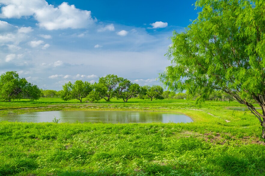 More Photos Of Las Brisas Road, Rio Grande City Land For Sale