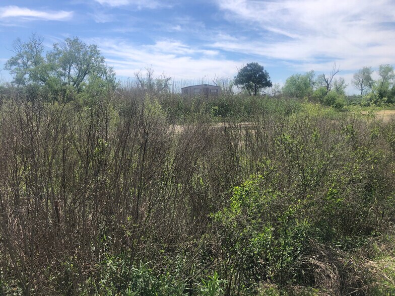 More Photos Of TBD County Road 210, Danbury Land For Sale