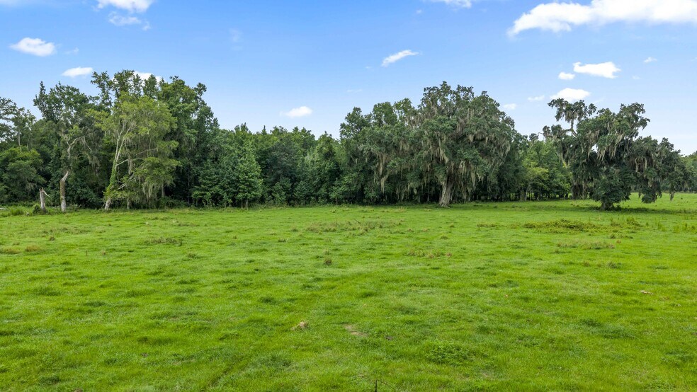 More Photos Of CR 774, Webster Land For Sale