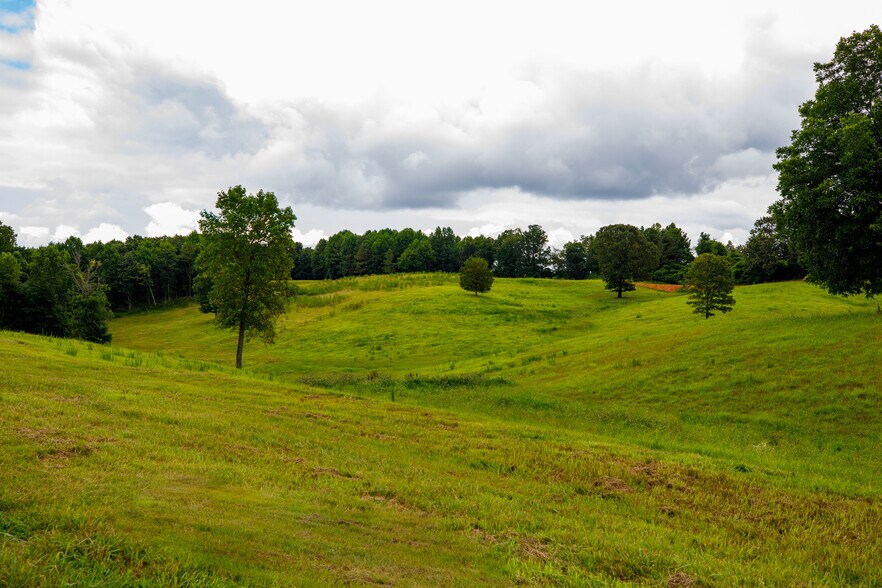 More Photos Of 3262 County Road 6, Hackleburg Land For Sale