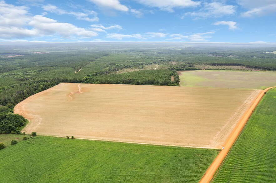 More Photos Of 0 Old Stage rd, Repton Land For Sale