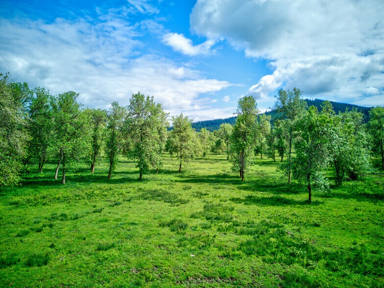 More Photos Of 927 State Highway 138 w, Sutherlin Land For Sale