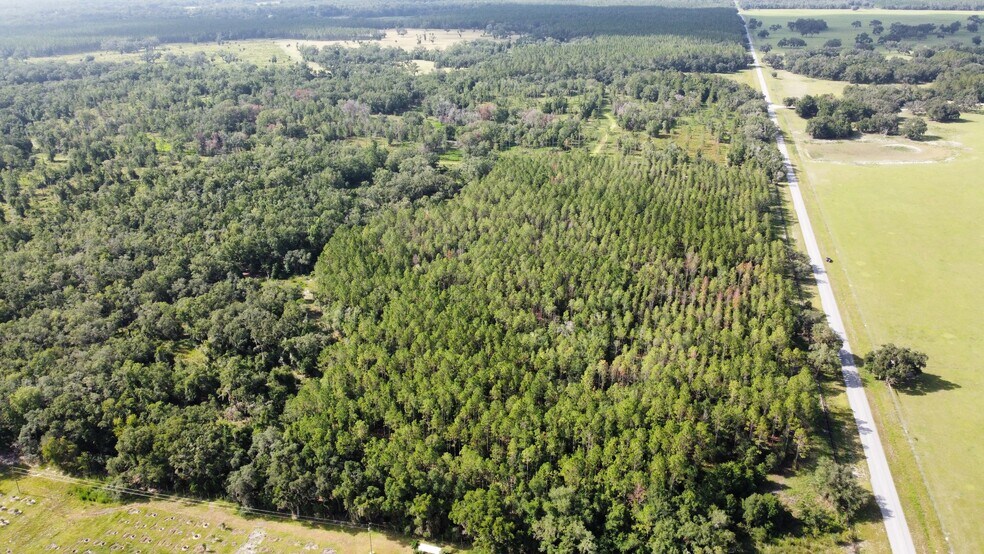 More Photos Of NE 353 Hwy, Cross City Land For Sale