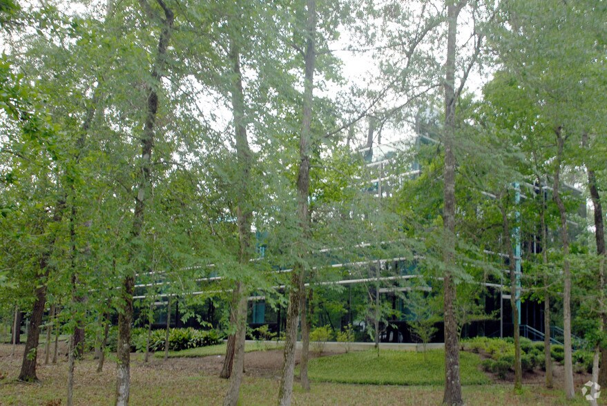More Photos Of 2201 Lake Woodlands Dr, Spring Office For Lease
