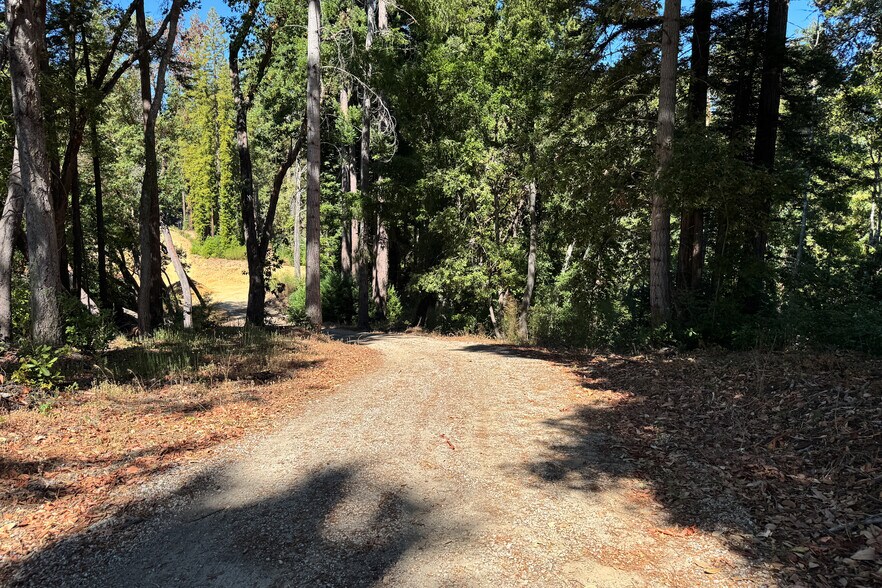 More Photos Of 1200 Roberts Rd, Ben Lomond Land For Sale