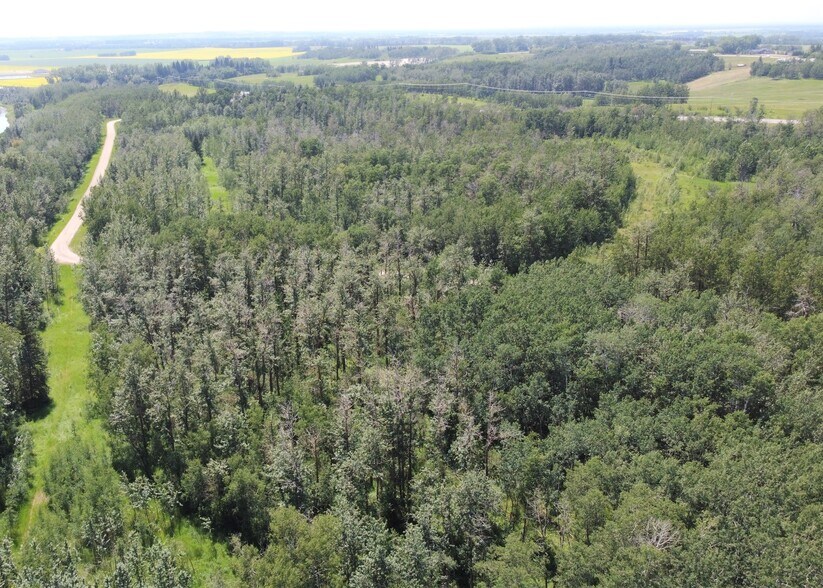More Photos Of 5650 Lakeside Way, Innisfail Land For Sale