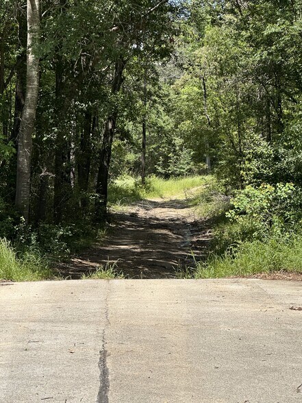 More Photos Of 4102 Van Hwy, Tyler Land For Sale