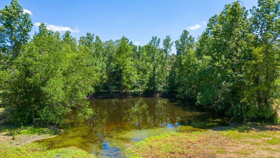 More Photos Of 17629 Carrol Ln, Willis Land For Sale