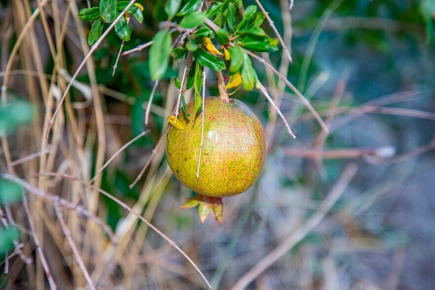 More Photos Of 40065 90th St W, Leona Valley Land For Sale