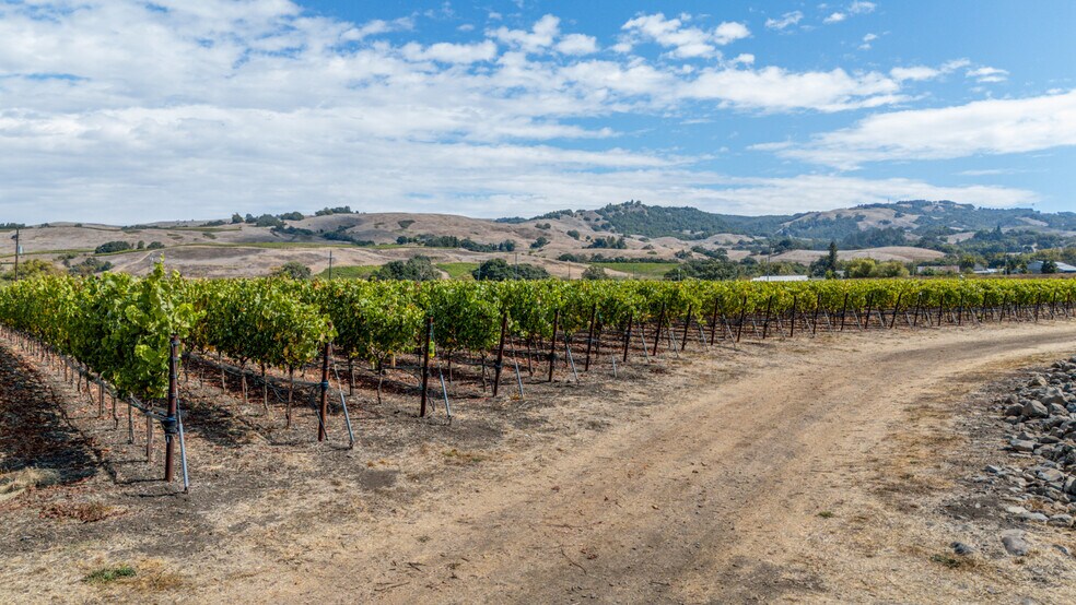 More Photos Of 3340 Lichau Rd, Penngrove Land For Sale