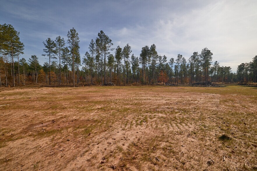 More Photos Of 480 Martin Rd, Cotton Valley Land For Sale