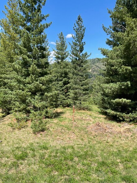 More Photos Of 280 Diamond Hitch, Kellogg Land For Sale