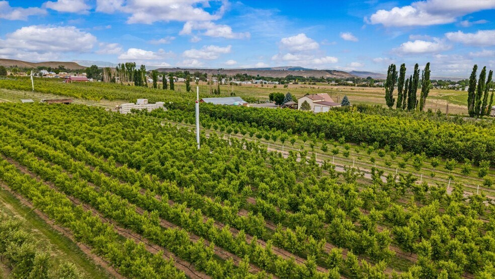 More Photos Of 20809 Nowhere Rd, Eckert Land For Sale