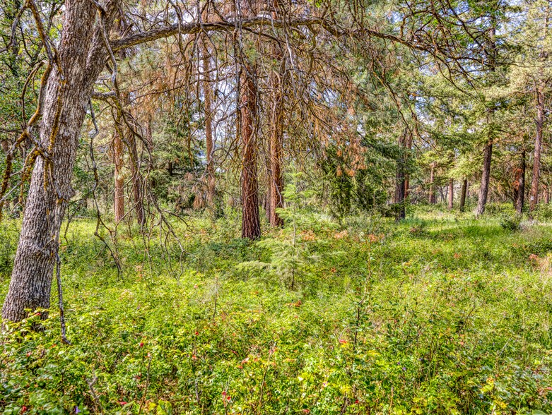 More Photos Of LP 1414 LP 1414 Highway 140 Hwy, Klamath Falls Land For Sale