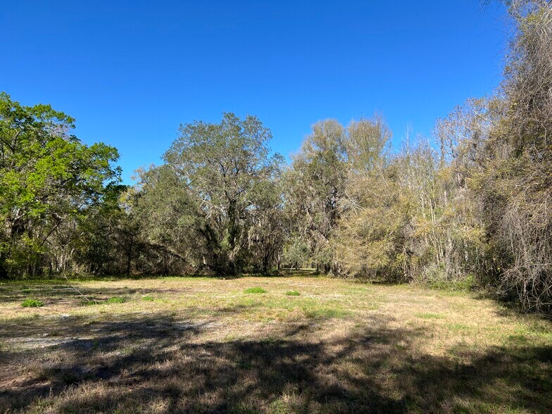 More Photos Of 0000 Tarpon Springs Rd, Odessa Land For Sale