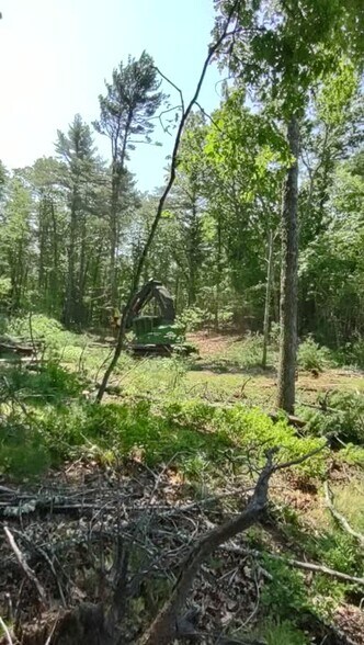 More Photos Of 333 Pendleton Hill, Voluntown Land For Sale