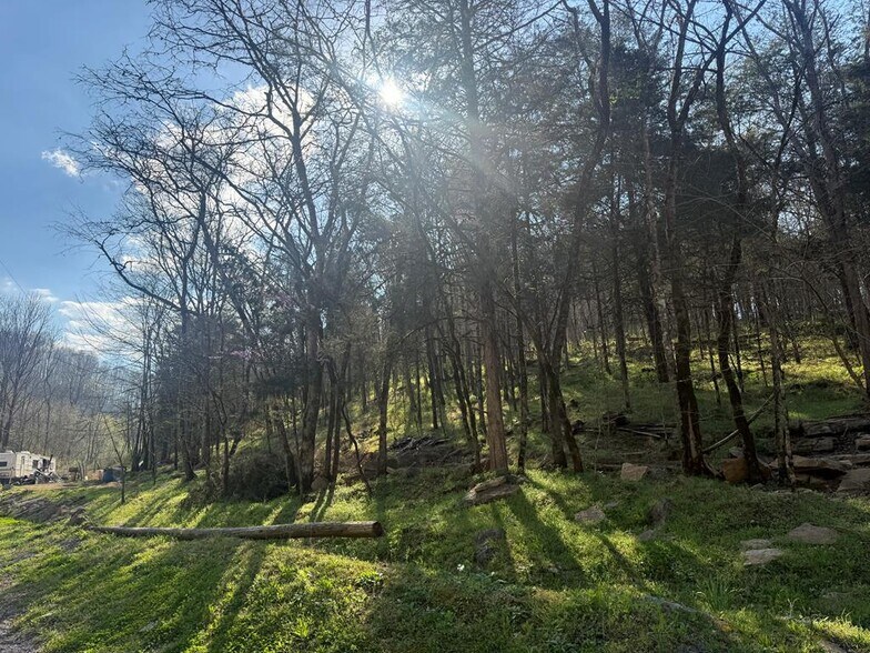Primary Photo Of 940 Riley Creek Rd, Whitleyville Land For Sale