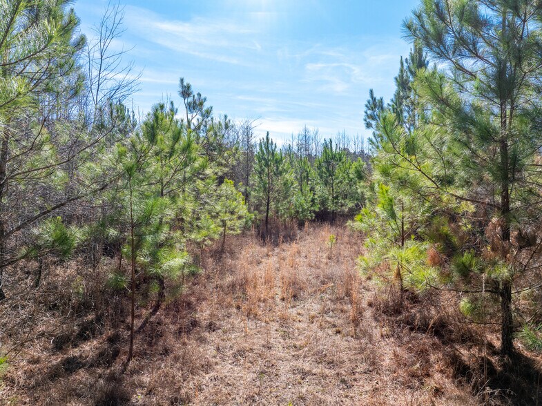 More Photos Of 2071 Leslie Mill Rd, Greensboro Land For Sale