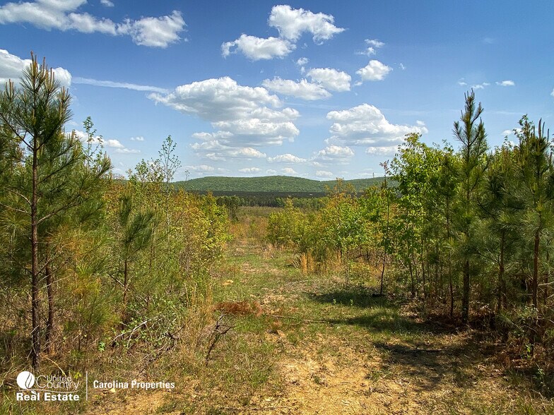 More Photos Of 1084 Stoney Pointe, Lexington Land For Sale
