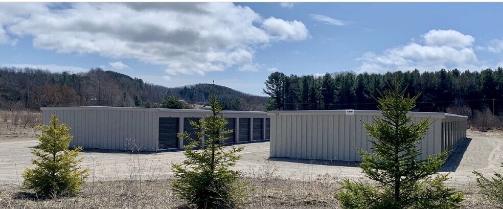 Primary Photo Of 7338-7344 E Duck Lake Rd, Lake Leelanau Self Storage For Sale