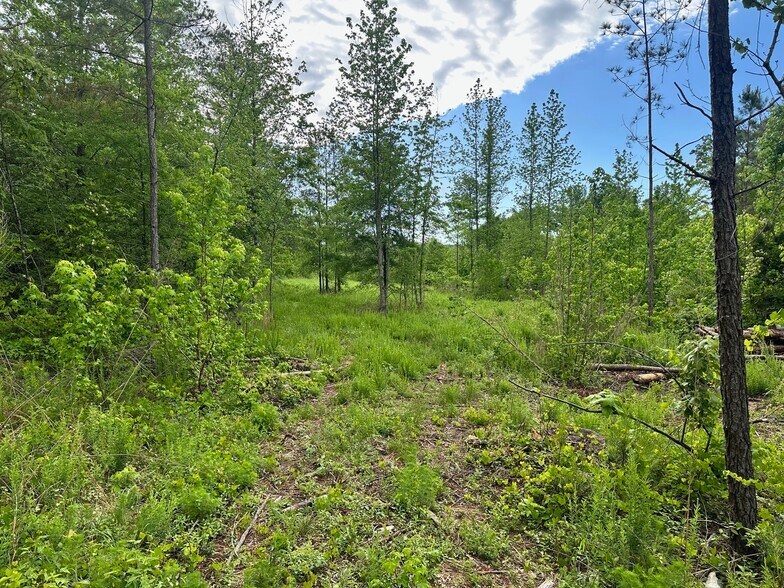 More Photos Of Satcher Road Rd, Taylorsville Land For Sale