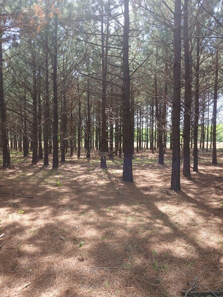 More Photos Of 414000 E 1920 Rd, Antlers Land For Sale