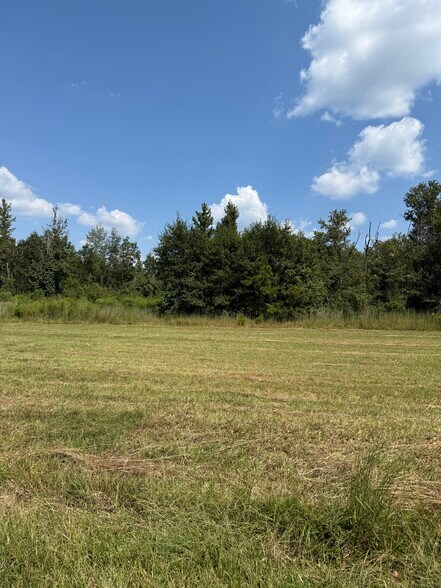 More Photos Of 0 ALEX Rd, Gloster Land For Sale