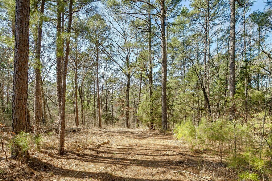 More Photos Of 439 County Road 3190, Winnsboro Land For Sale