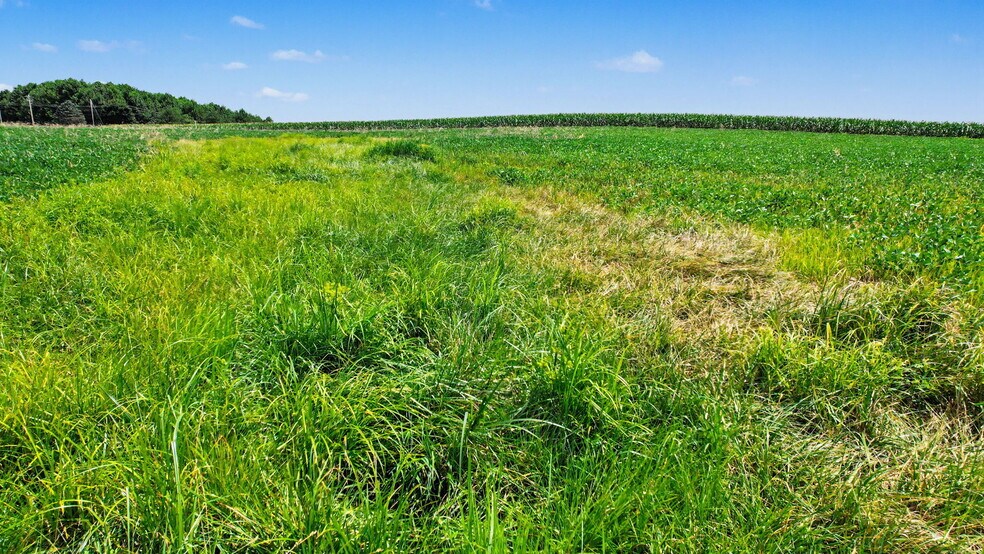 More Photos Of 0 Coffman Rd, Borden Land For Sale