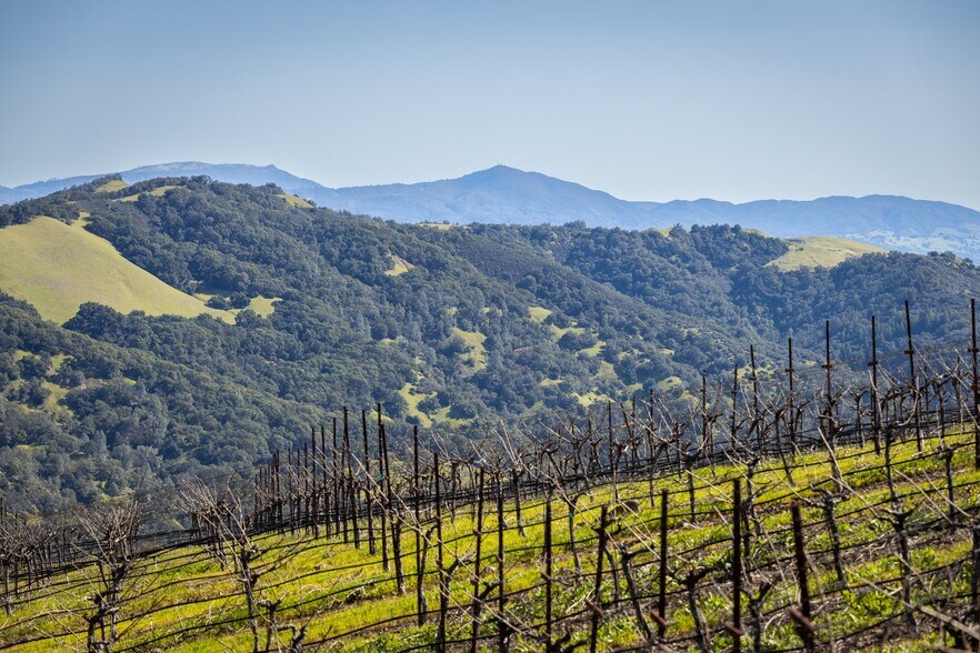 More Photos Of 13700 Rockpile Rd, Geyserville Land For Sale