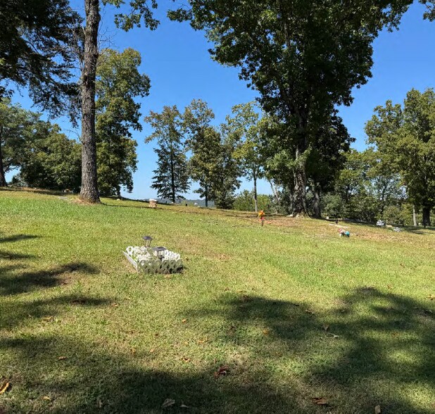 More Photos Of 4386 Buzbee Rd, Pinson Land For Sale