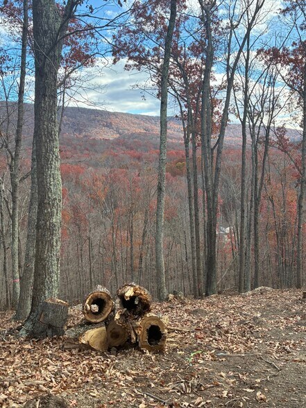 More Photos Of 122 Flat Rock Rd, Waynesboro Land For Sale