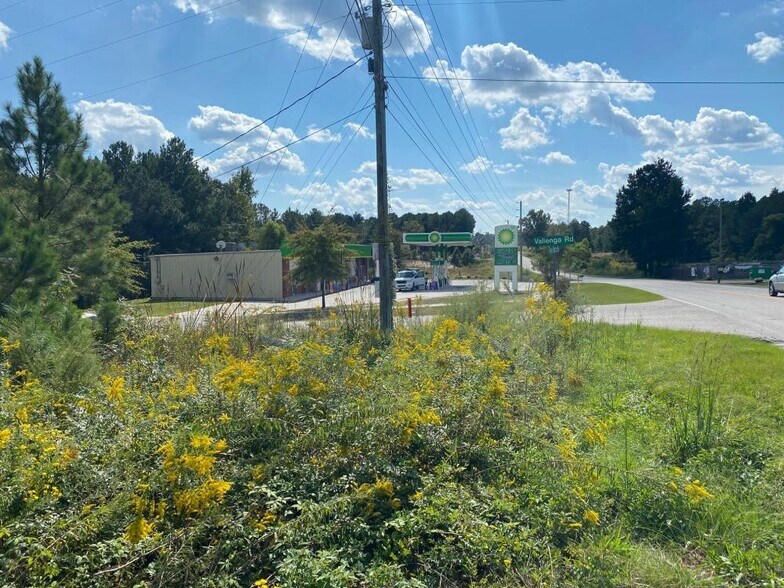 More Photos Of 308 Vallenga Rd, Elgin Land For Sale