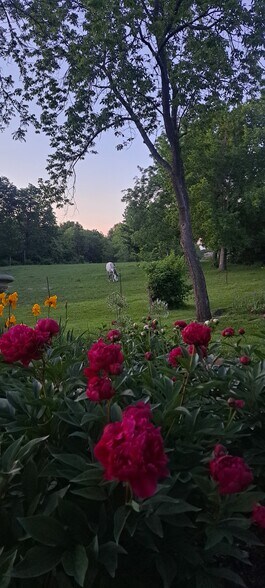 More Photos Of 16816 E US Highway 40, Independence Lodge Meeting Hall For Sale