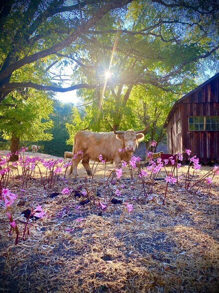 More Photos Of 220 Wilder Ridge rd, Honeydew Land For Sale