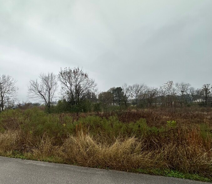 Primary Photo Of 7518 Greenswarth Ln, Houston Land For Sale